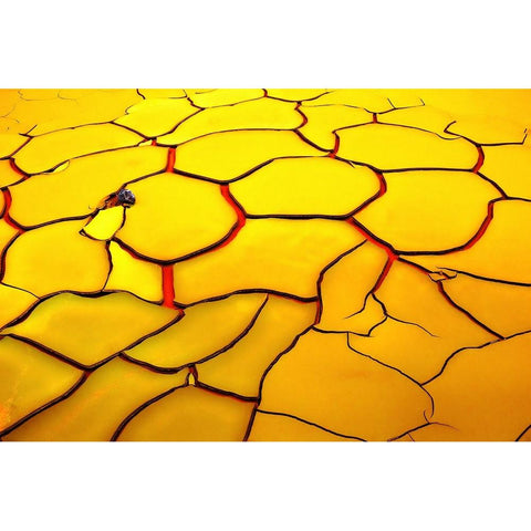 Yellow Ground, Red Heart Gold Ornate Wood Framed Art Print with Double Matting by De Juan, E.