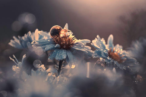 Riding Zone Black Ornate Wood Framed Art Print with Double Matting by Bravin, Fabien