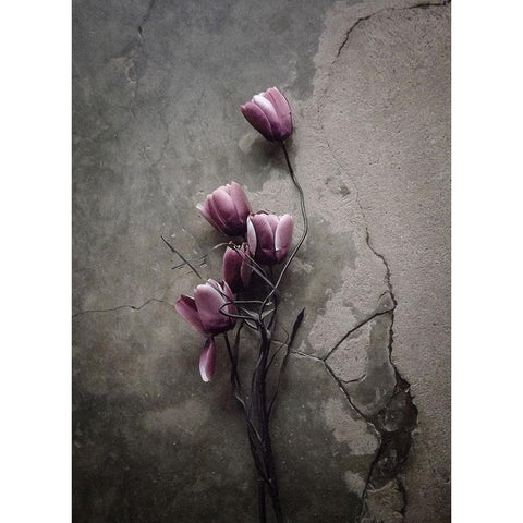 The Tulip Black Modern Wood Framed Art Print with Double Matting by Lagaa, Kahar