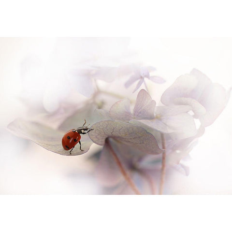 Exercise Black Modern Wood Framed Art Print by Van Deelen, Ellen