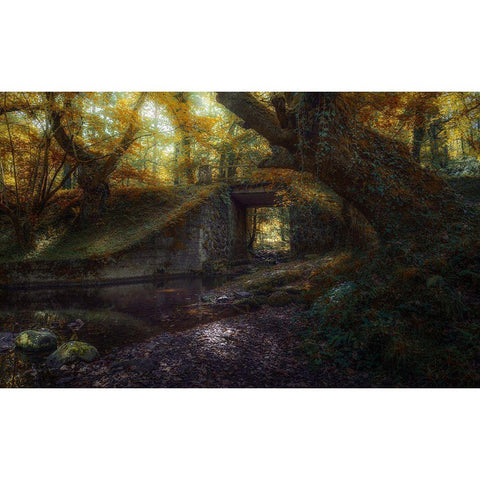 Ucieda Black Modern Wood Framed Art Print by Antonio Cobo, Marco