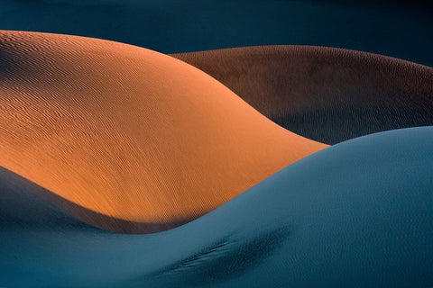 The Curves White Modern Wood Framed Art Print with Double Matting by Asghar Alimoradi, Ali