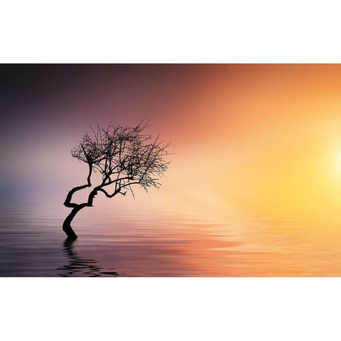 Tree At Lake Black Modern Wood Framed Art Print with Double Matting by Hamiti, Bess