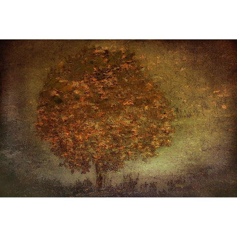 Autumn Tree Black Modern Wood Framed Art Print by Talen, Nel