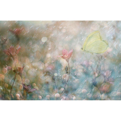 Uninterrupted Poetry... White Modern Wood Framed Art Print by Devos, Delphine