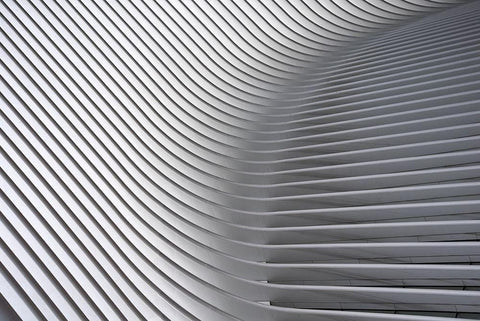 Calatrava Curves # 2 White Modern Wood Framed Art Print with Double Matting by Wride, Linda