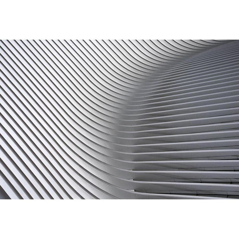 Calatrava Curves # 2 Black Modern Wood Framed Art Print with Double Matting by Wride, Linda