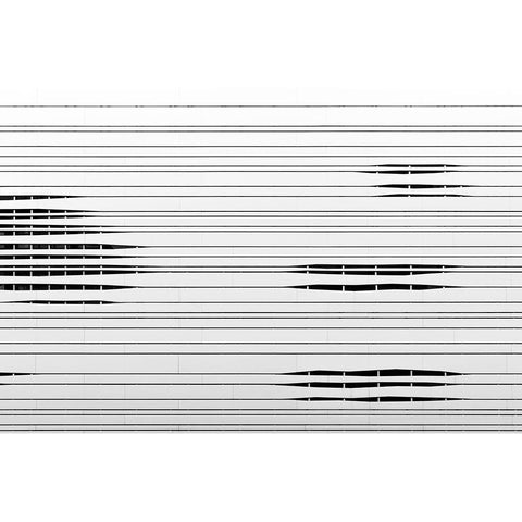 Hidden Galleries Black Modern Wood Framed Art Print with Double Matting by Van Son, Greetje