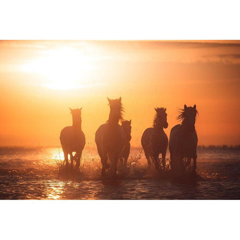 Camargue Angels Gold Ornate Wood Framed Art Print with Double Matting by Anton, Rostovskiy