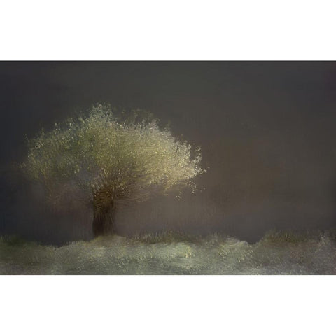 Willow Black Modern Wood Framed Art Print with Double Matting by Talen, Nel