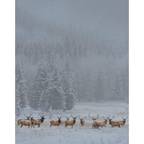 Standing In Storm Black Modern Wood Framed Art Print with Double Matting by Wang, Yun