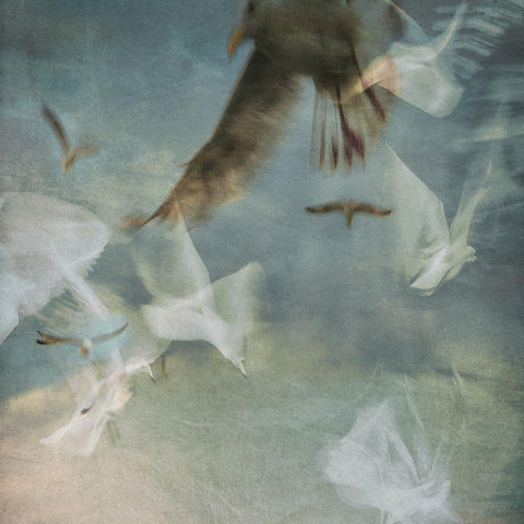 War Zone Black Modern Wood Framed Art Print with Double Matting by Claes, Gilbert