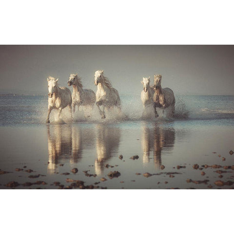 Camargue Horses Gold Ornate Wood Framed Art Print with Double Matting by Anton, Rostovskiy