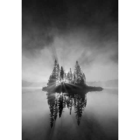 Breaking Through White Modern Wood Framed Art Print by Luo, Donald