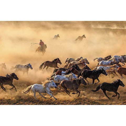 Horse Run White Modern Wood Framed Art Print by Wong, Adam