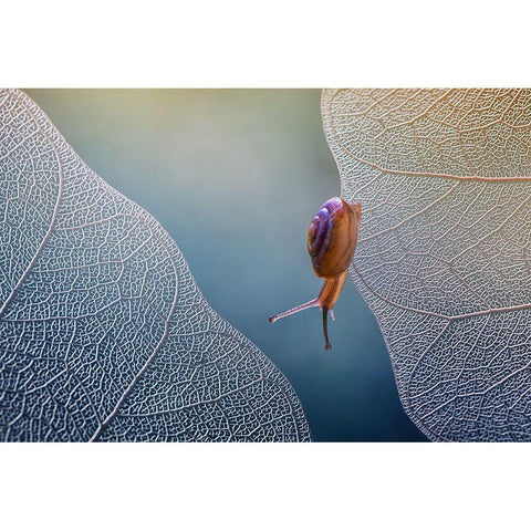 Want To Cross Black Modern Wood Framed Art Print with Double Matting by Baihaki, Ahmad