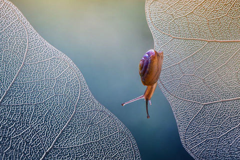 Want To Cross White Modern Wood Framed Art Print with Double Matting by Baihaki, Ahmad