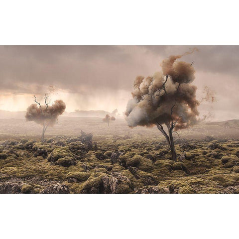 Desolation Black Modern Wood Framed Art Print by Bergolth, Matthias
