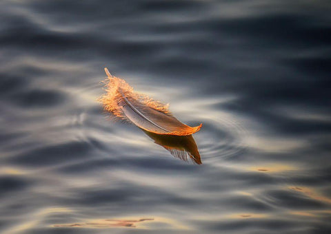 Floating White Modern Wood Framed Art Print with Double Matting by Deng, Larry