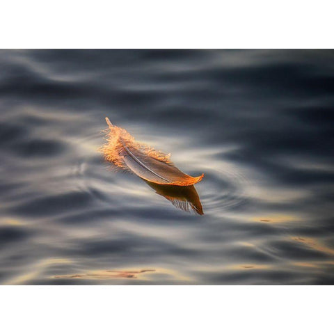 Floating White Modern Wood Framed Art Print by Deng, Larry