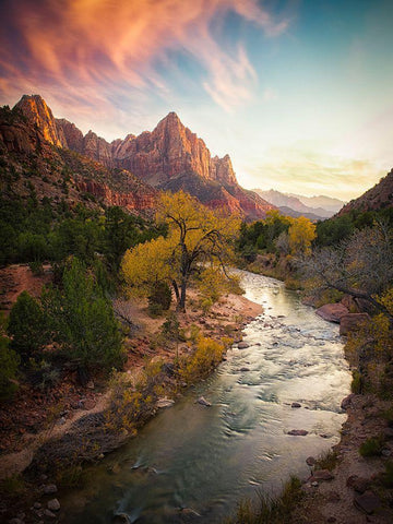 Zion National Park Black Ornate Wood Framed Art Print with Double Matting by Zheng, Michael