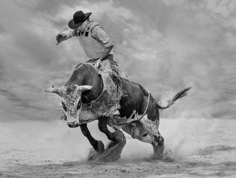 Ram Rodeo Black Ornate Wood Framed Art Print with Double Matting by Wang, Yun