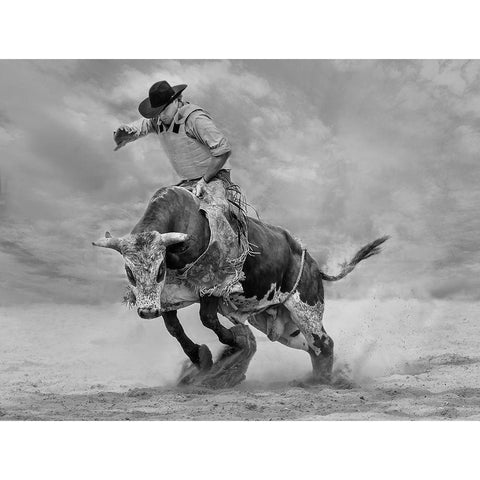 Ram Rodeo White Modern Wood Framed Art Print by Wang, Yun