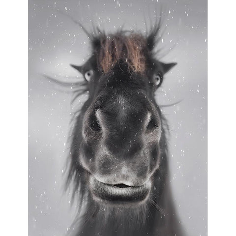 Hey Black Modern Wood Framed Art Print by Deng, Larry