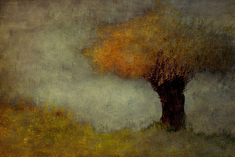 Willow White Modern Wood Framed Art Print with Double Matting by Talen, Nel