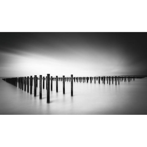 Formation  - Study Black Modern Wood Framed Art Print with Double Matting by Staelens, Christophe