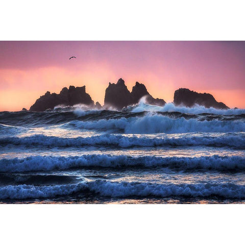 Bandon Beach Layers Gold Ornate Wood Framed Art Print with Double Matting by Gastager, Daniel