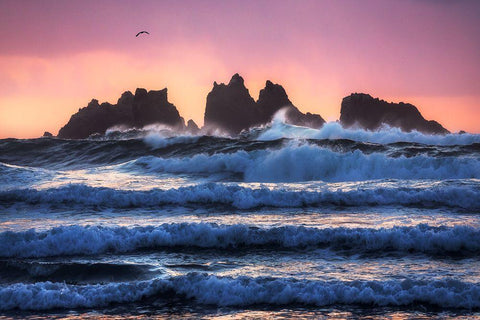 Bandon Beach Layers White Modern Wood Framed Art Print with Double Matting by Gastager, Daniel