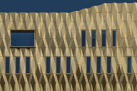 The Yellow Wall Black Ornate Wood Framed Art Print with Double Matting by Luycx, Theo