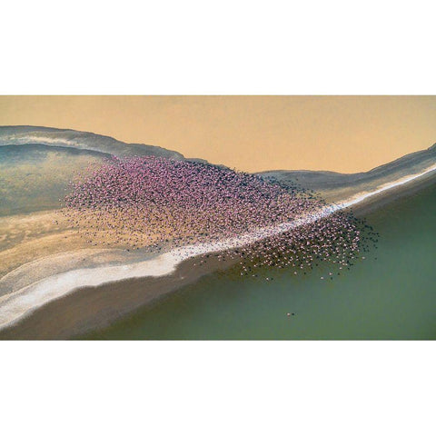 Gone With The Wind Gold Ornate Wood Framed Art Print with Double Matting by Fan, John