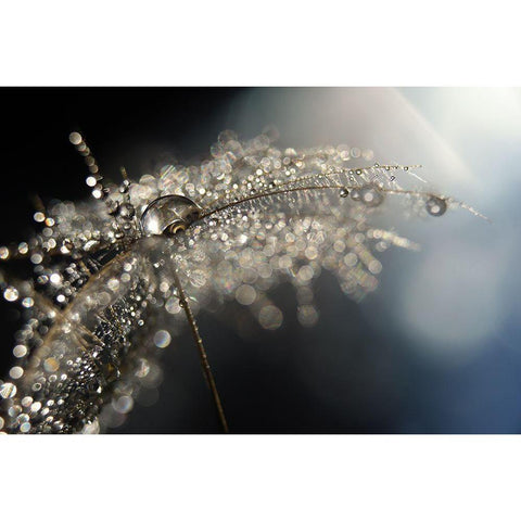 Reflection Explotion Black Modern Wood Framed Art Print with Double Matting by Westum, Heidi