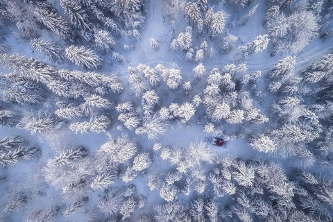 Getting The Job Done Black Ornate Wood Framed Art Print with Double Matting by Gastager, Daniel