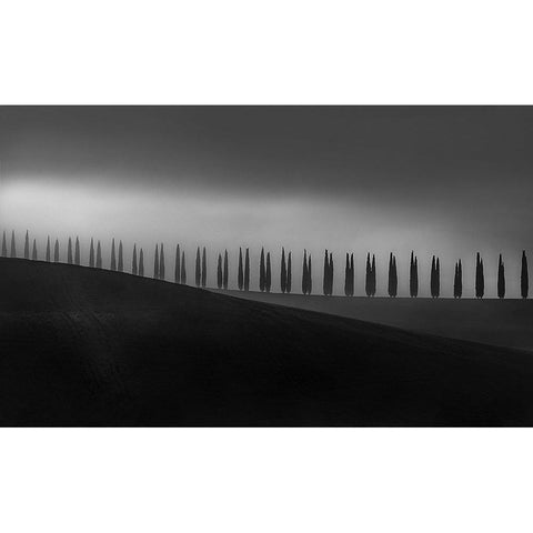 Tuscany White Modern Wood Framed Art Print by Tanev, Todor