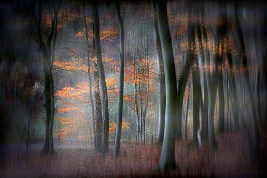 Image Only