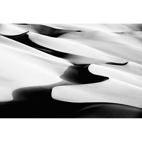 Dance Black Modern Wood Framed Art Print with Double Matting by Momeni, Mohammadreza