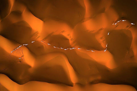 The Path Of Camels Across The Sands White Modern Wood Framed Art Print with Double Matting by Alnassar, Abdullah