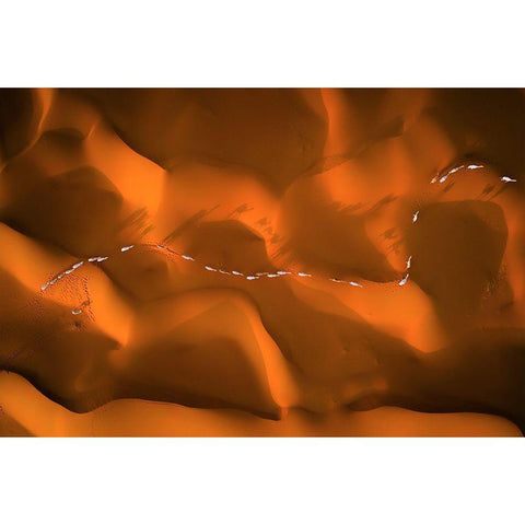 The Path Of Camels Across The Sands Gold Ornate Wood Framed Art Print with Double Matting by Alnassar, Abdullah