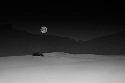 Full Moon Over White Sands Black Ornate Wood Framed Art Print with Double Matting by Jacobs, Lydia