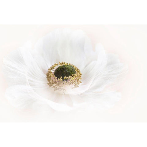 Pure Black Modern Wood Framed Art Print with Double Matting by Parker, Jacky