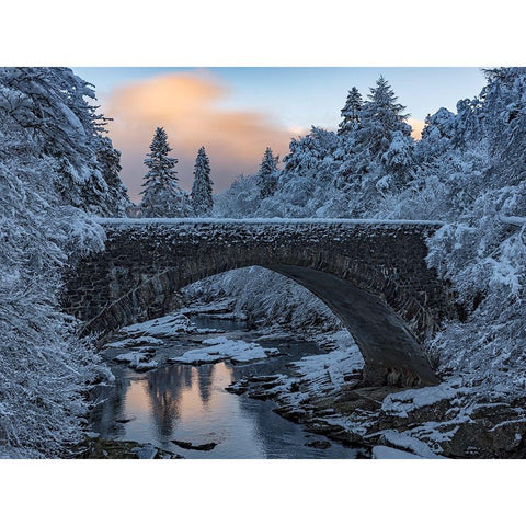 Highlands Bridge Gold Ornate Wood Framed Art Print with Double Matting by Darby, Rob