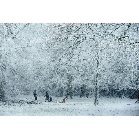 Winter Dream White Modern Wood Framed Art Print by Dingemans, Saskia