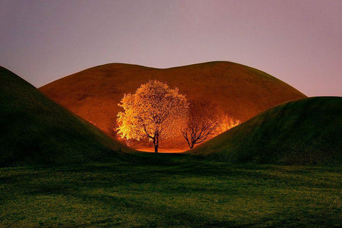 Magnolia White Modern Wood Framed Art Print with Double Matting by Namkoong, Bongok