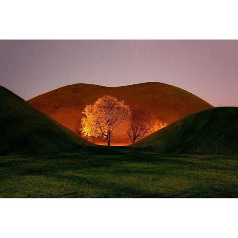 Magnolia Gold Ornate Wood Framed Art Print with Double Matting by Namkoong, Bongok