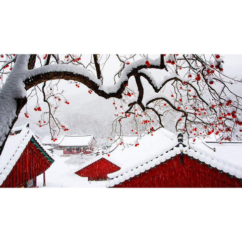 Snow In Temple Black Modern Wood Framed Art Print with Double Matting by Namkoong, Bongok