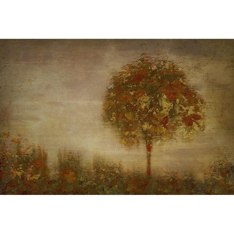 Fantasy 2 White Modern Wood Framed Art Print by Talen, Nel