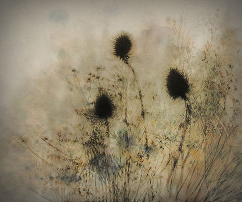 Seed Boxes White Modern Wood Framed Art Print with Double Matting by Talen, Nel